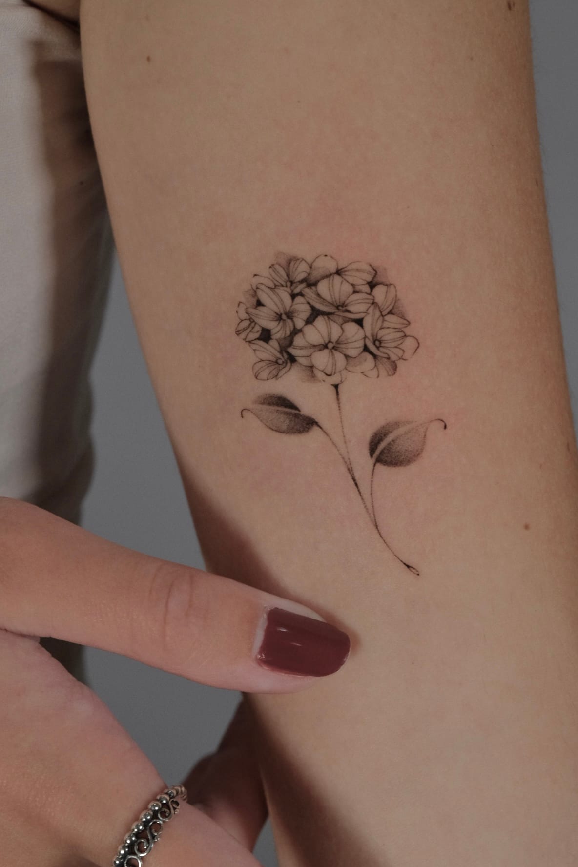 Fine line botanical stem along the spine